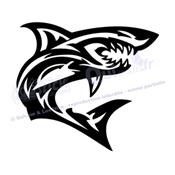 Sticker REQUIN (ref4)