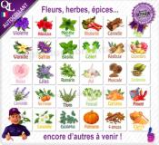 Etiquettes autocollantes illustrées PARFUMS GLACE BOULE